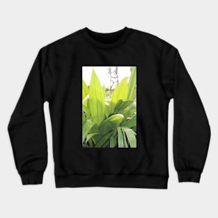 Plants Crewneck Sweatshirt